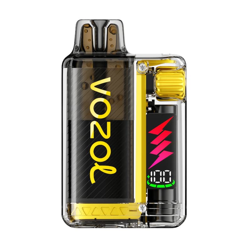 Vista Plug Starter Kit Mango Ice
