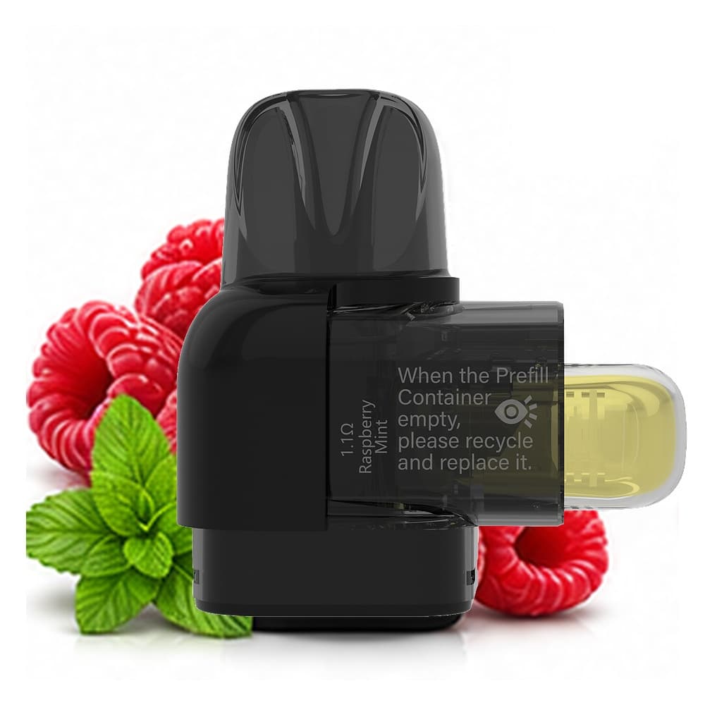S10000 Pod Raspberry Mint